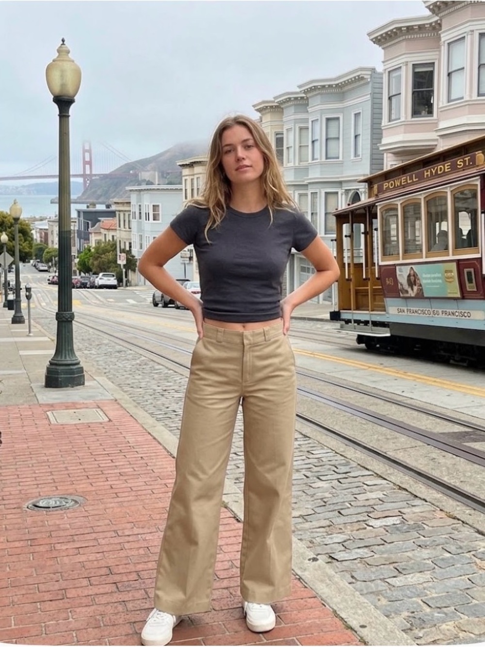 🎠Dickies 27 Reg wide leg twill pants High Rise NWT tan/khaki